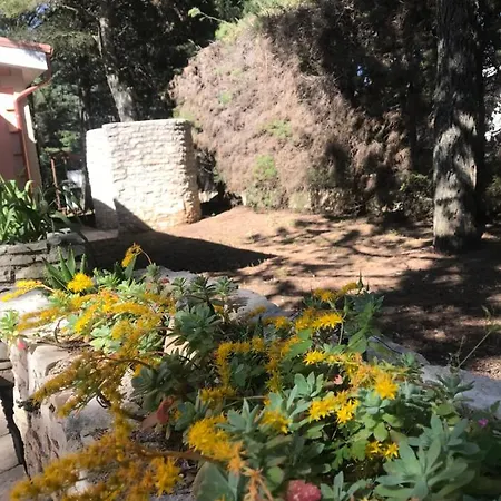 Nature, Memories And Garden Shower At Casa Del Castello